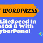 Host WordPress on LiteSpeed in CentOS 8 With CyberPanel