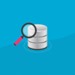 The Ultimate Developer's Guide to the WordPress Database