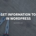 How to Get Information to Fix Bug in WordPress