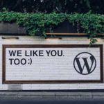 Thoughts on WordPress Achieving 40% Market Share