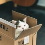 How to Create WooCommerce Custom Shipping Methods