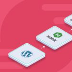 Turn Your WordPress Site into a Static Site with Aggressive Nginx Page Caching – SpinupWP