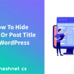 How To Hide Page Or Post Title In WordPress