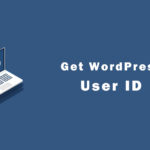 10 Ways to Get User ID in WordPress