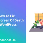 How To Fix The WordPress White Screen Of Death Error