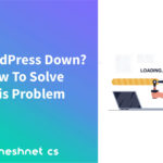 Is WordPress Down? How To Solve This Problem