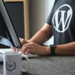 Affordable WordPress Development | 4 Best Tips –