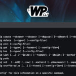 Our Guide to WP-CLI Command Structure