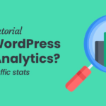 Does WordPress Track Visitors or Include Analytics?