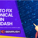 How to fix Canonical Links for LearnDash Topics in Yoast SEO