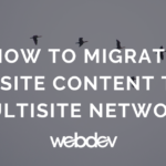 How to Migrate Subsite Content to a Multisite Network