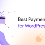 5 Best Payment Plugins for Your WordPress Website