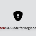 OpenSSL Guide for Beginners (savvytheme.com)