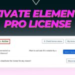 How to Activate Elementor Pro License in WordPress