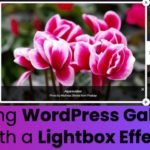How To Create A Lightbox Effect On WordPress Image Galleries – FooPlugins