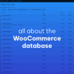 Everything You Need to Know About the WooCommerce Database: How It Works, Schema, and More