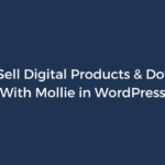 How to Sell Digital Products & Downloads With Mollie in WordPress