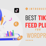 How to Choose the Best TikTok Feed Plugin for WordPress: Ultimate Guide