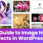 A Step-by-Step Guide To Image Hover Effects In WordPress