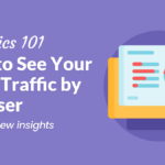 How to See Your WordPress Site's Web Traffic by Browser