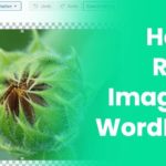 How To Resize Images In WordPress: A Comprehensive Guide