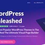 Why Choose Divi as Your WordPress Theme: Who are Top Alternatives to Divi