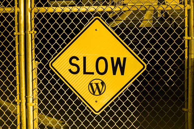 What's Slowing Down Your WordPress Website? WP Content