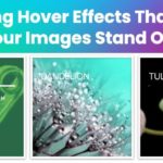Creating Hover Effects That Make Your Images Stand Out