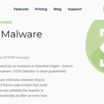Safeguard Your WordPress Site: Manual & Automatic Malware Removal