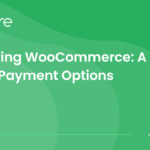 How to Setup WooCommerce Global Payment Options in 2024