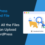 WordPress Allowed File Types Explained: How to Upload Other File Types on WordPress
