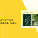 How To Create a Dynamic Image Accordion With Bricks Builder [Without Coding]