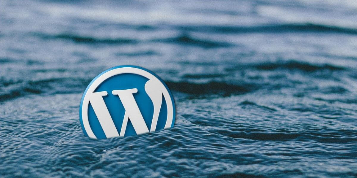 Wp Contentx