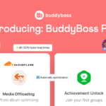 Introducing BuddyBoss Plus: Build Communities That Scale Without the Complexity