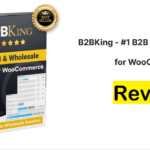 B2BKing WooCommerce Plugin Review 2026: Is It Worth It?
